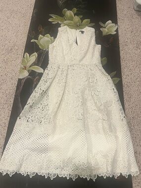 Ann Taylor White Lace Fit-and-Flare Dress